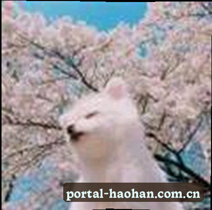 周涛